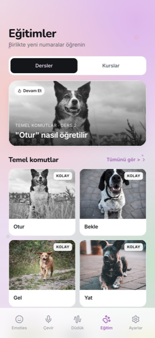 Eğitim dersleri ve rehberler